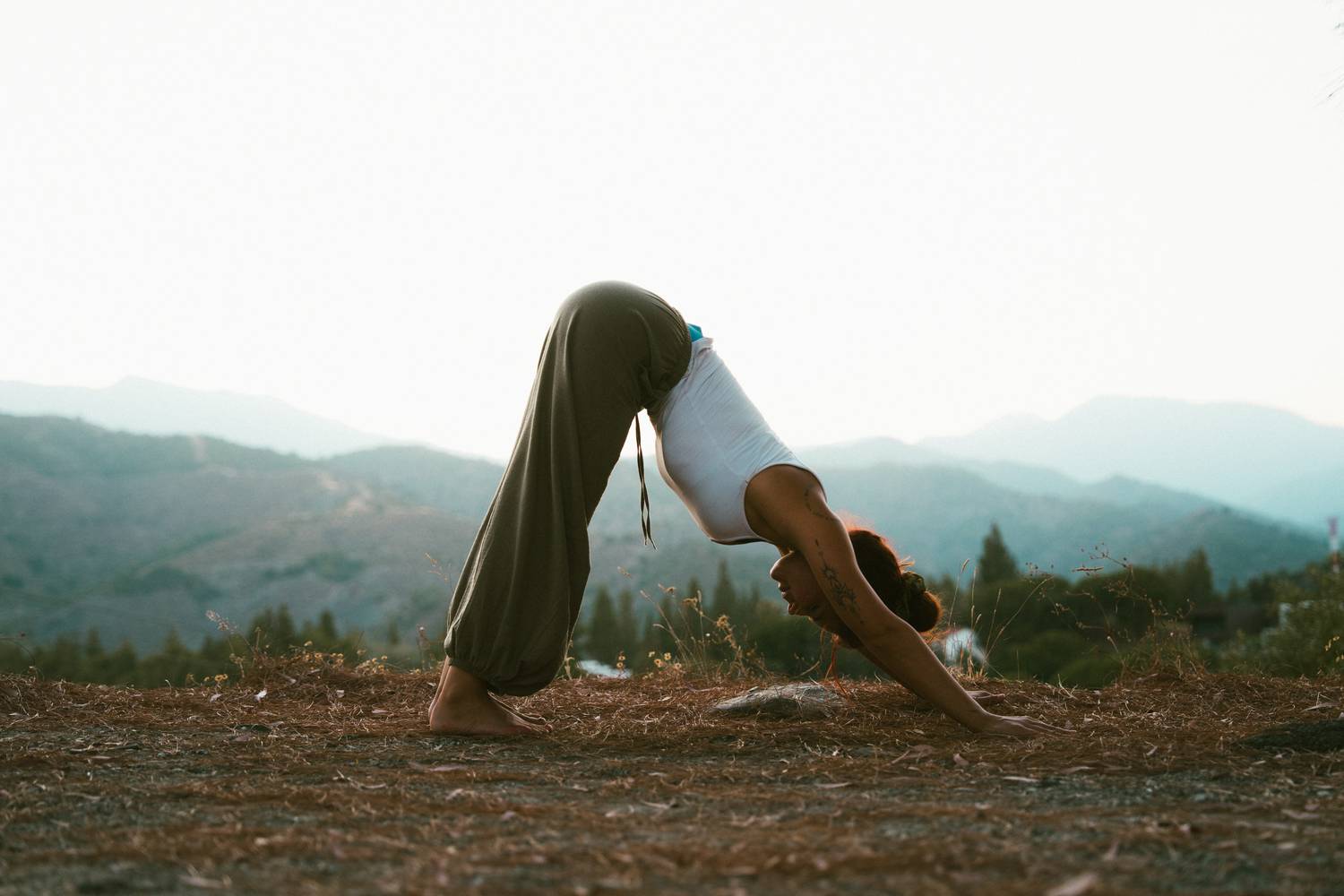 Downward-facing dog against soft mountains